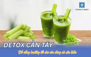 Detox Cần Tây – Đồ uống healthy tốt cho vóc dáng và sức khỏe